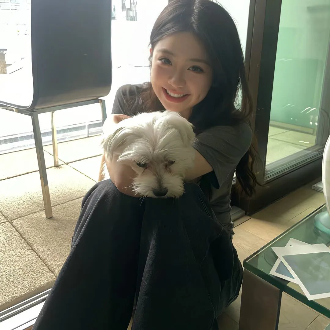 红蝎子之带泪梨花